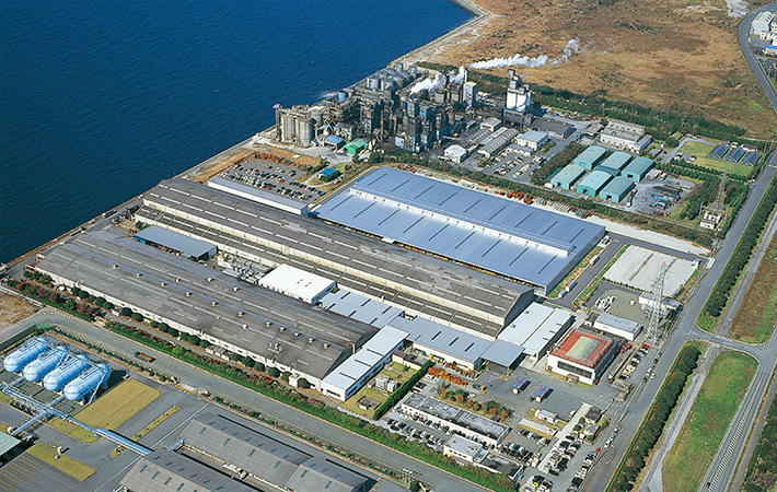 Tahara Plant