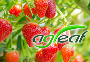 agleaf®（ハウス栽培用CO2貯留・供給装置）